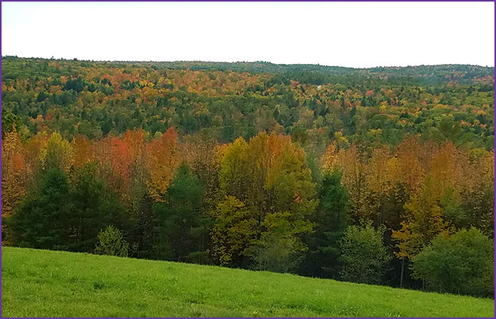 New Hampshire Colorful Foliage